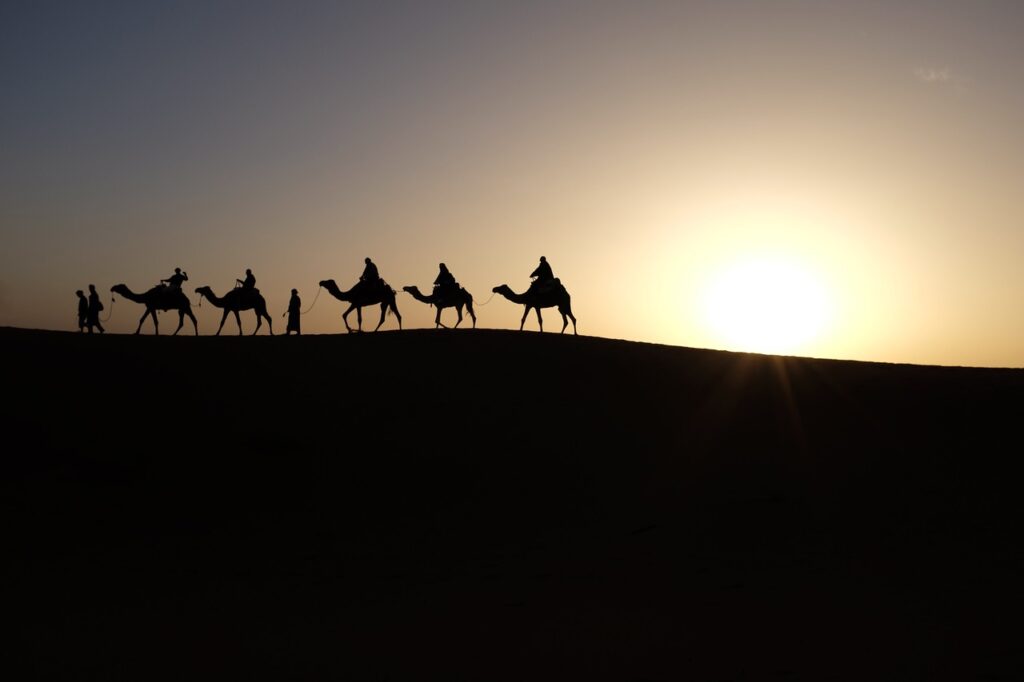 camels, sunrise, desert-1149803.jpg